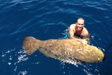 Fun fishing for Goliaths