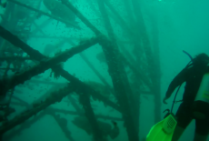 Divers with tower