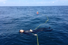 Relaxing on surface interval time