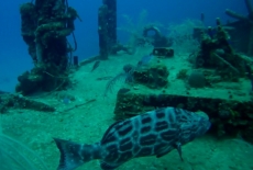 vlcsnap-2012-08-16-23h50m27s189-2